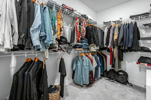 spacious closet with carpet