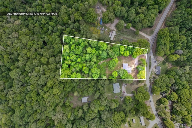 2259 Bandy Rd, Ashland City, TN 37015 - photo 27