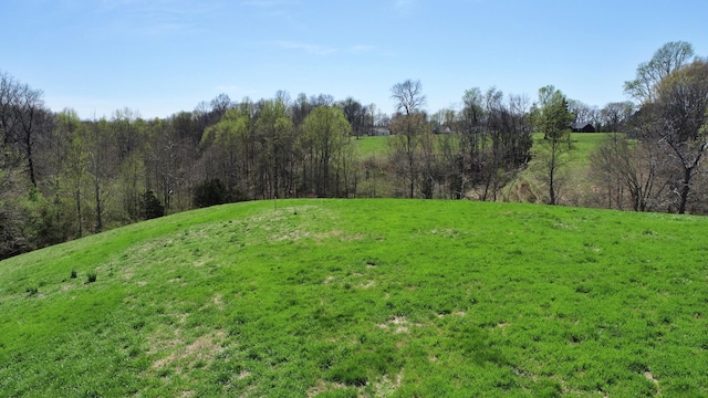 0 Marys Ln, Lafayette, TN 37083