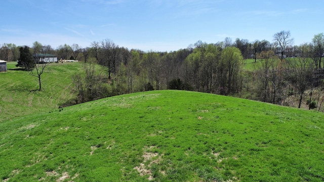 0 Marys Ln, Lafayette, TN 37083