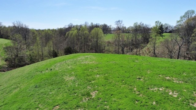 0 Marys Ln, Lafayette, TN 37083