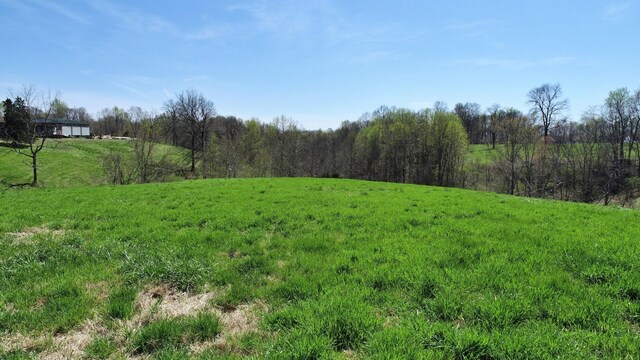 0 Marys Ln, Lafayette, TN 37083