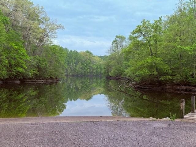 property view of water with a view of trees