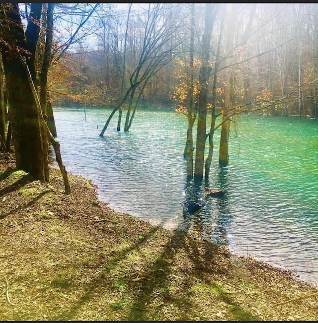 view of water feature featuring a wooded view