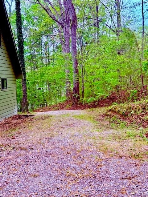 view of yard with a wooded view