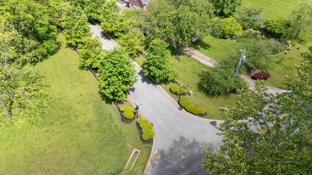 1036 Wilderness Way, Cottontown, TN 37048