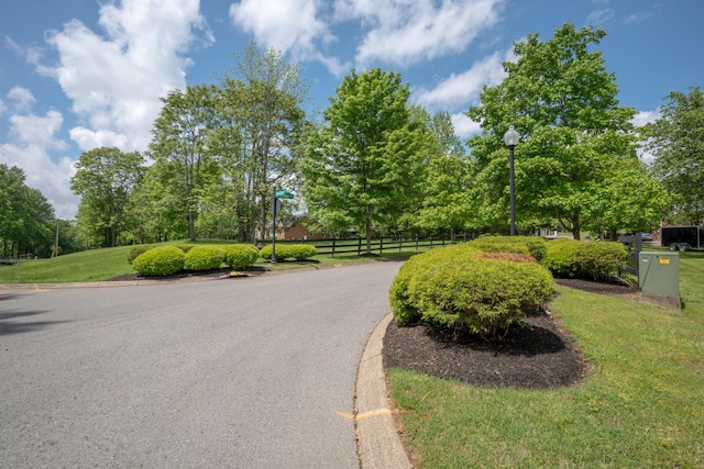 1036 Wilderness Way, Cottontown, TN 37048