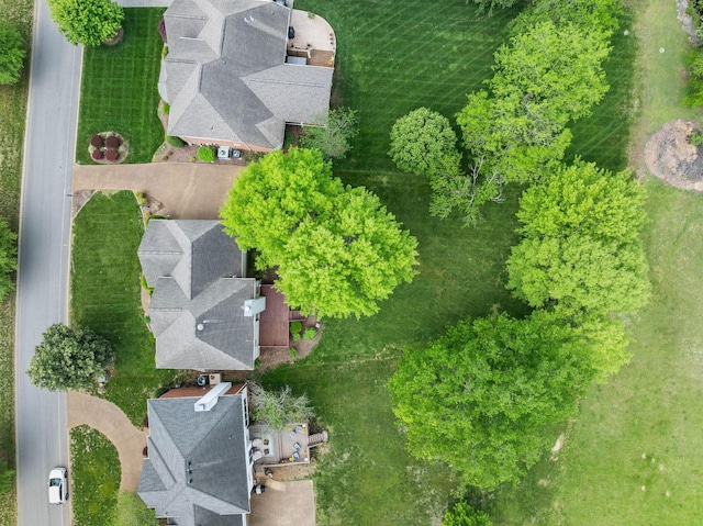 bird's eye view