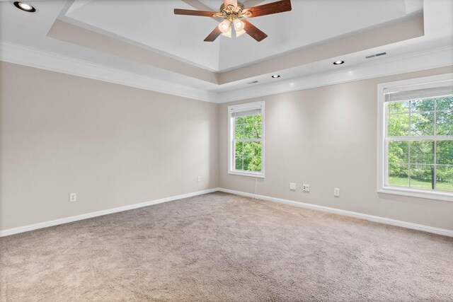 unfurnished room with carpet, a raised ceiling, and ornamental molding