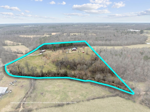 bird's eye view featuring a rural view