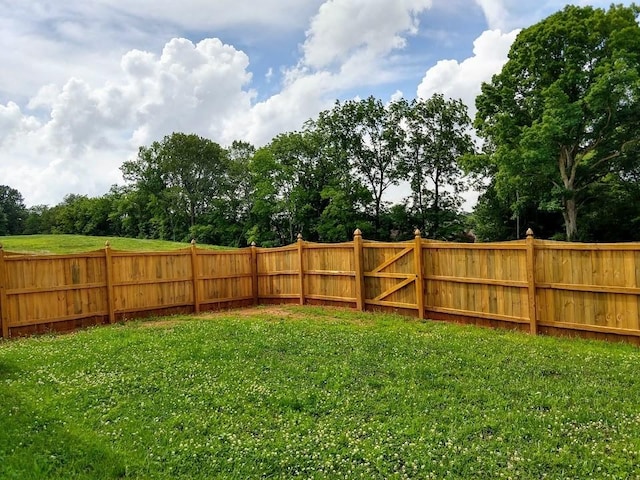155 Telavera Dr, White House, TN 37188 - view of yard featuring fence