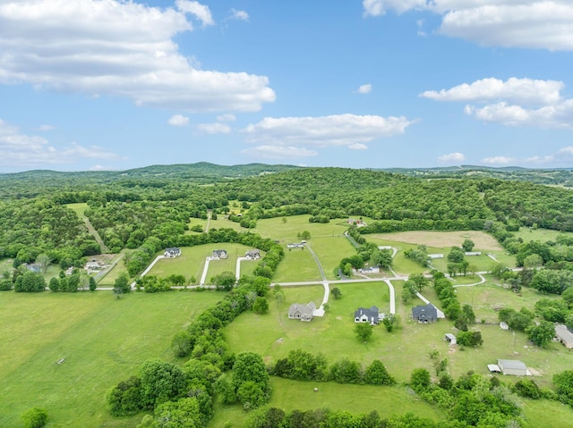 5915 Cainsville Rd, Lebanon, TN 37090 - photo 53