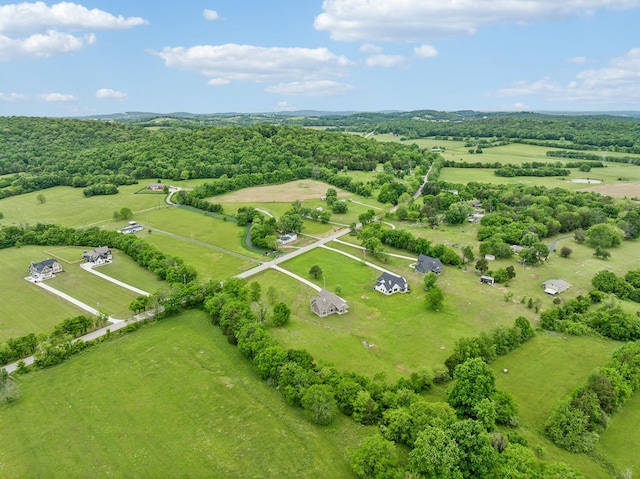 5915 Cainsville Rd, Lebanon, TN 37090 - photo 55