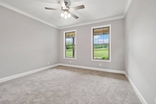 5915 Cainsville Rd, Lebanon, TN 37090 - photo 33