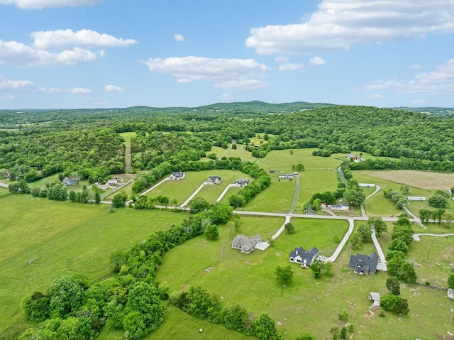 5915 Cainsville Rd, Lebanon, TN 37090 - photo 54