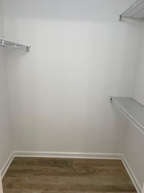 walk in closet featuring wood finished floors