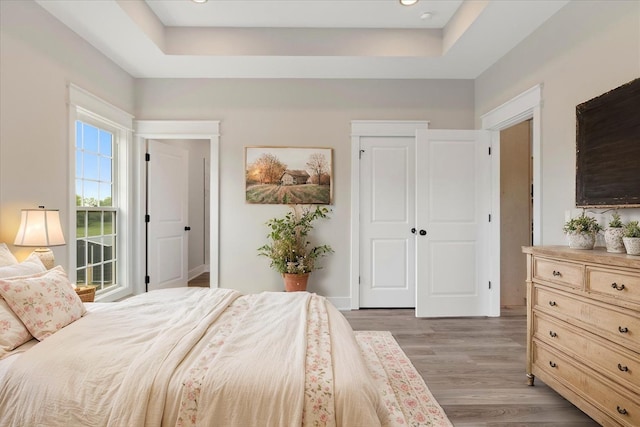 bedroom featuring light wood finished floors and a tray ceiling