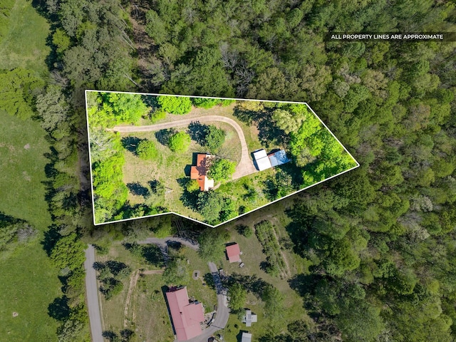 drone / aerial view