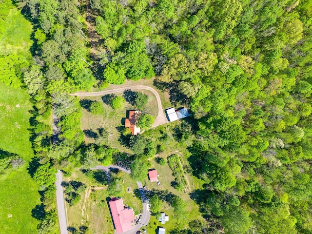 drone / aerial view