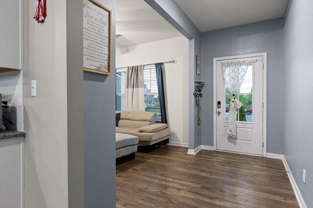 foyer with dark wood finished floors, a wealth of natural light, and baseboards