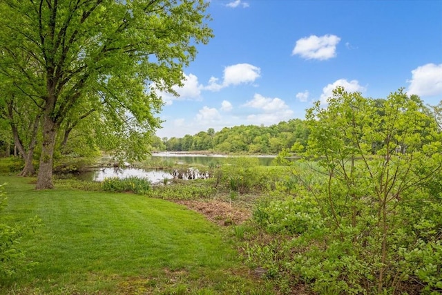 view of yard with a wooded view and a water view