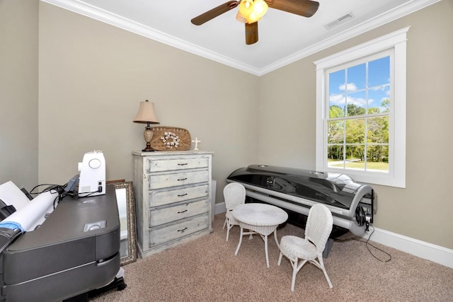 23475 Slate Rd, Athens, AL 35614 - office space featuring ceiling fan, carpet, baseboards, ornamental molding, and visible vents