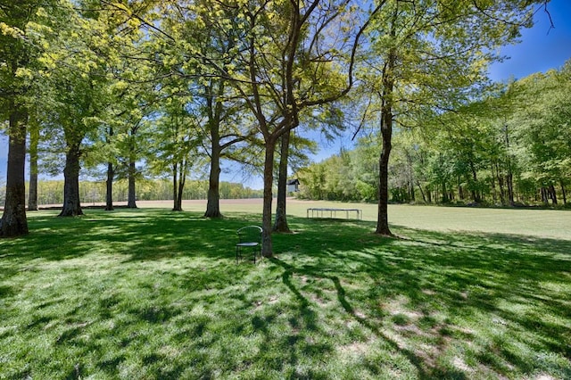 23475 Slate Rd, Athens, AL 35614 - view of community featuring a yard