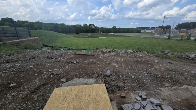 6108 Saxlingham Pl, Smyrna, TN 37167 - view of yard