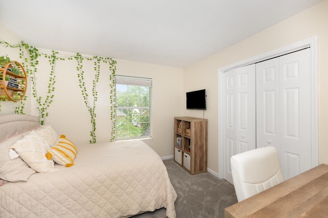 bedroom featuring carpet floors, a closet, and baseboards