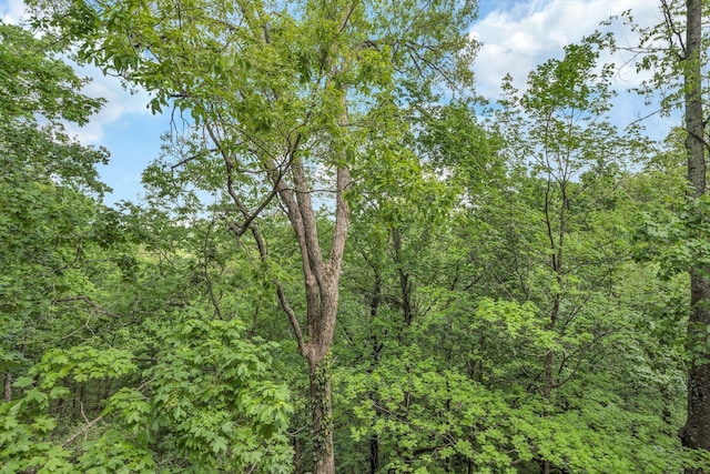 635 Harpeth Trace Dr, Nashville, TN 37221 - view of nature with a forest view