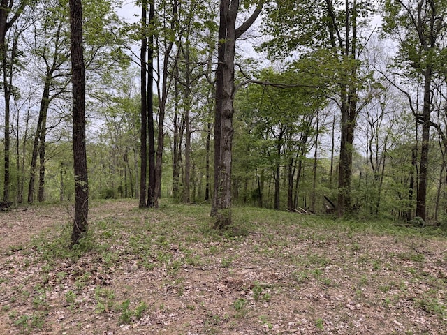 1331 Rock Bridge Rd, Bethpage, TN 37022
