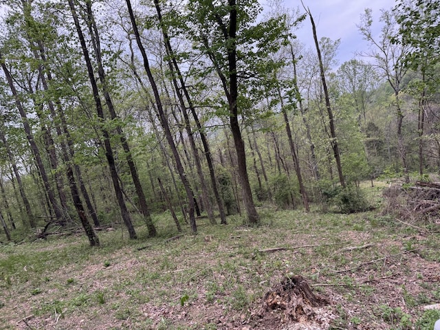 1331 Rock Bridge Rd, Bethpage, TN 37022