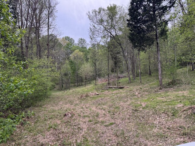 1331 Rock Bridge Rd, Bethpage, TN 37022