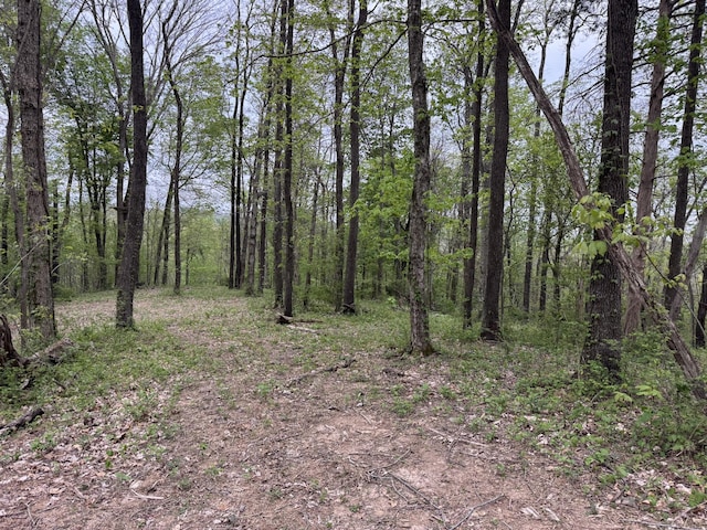 1331 Rock Bridge Rd, Bethpage, TN 37022