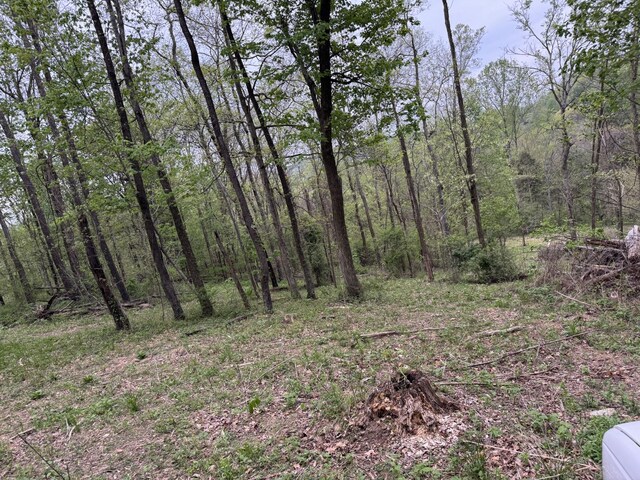 1331 Rock Bridge Rd, Bethpage, TN 37022