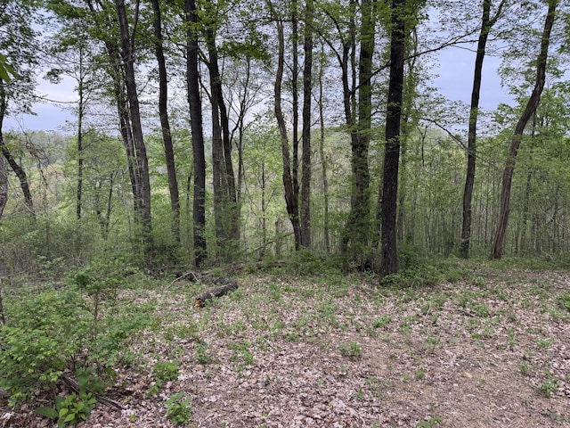 1331 Rock Bridge Rd, Bethpage, TN 37022