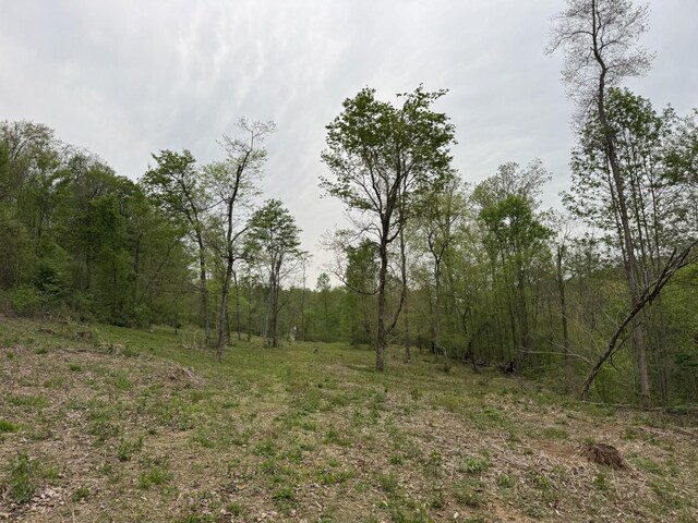 1331 Rock Bridge Rd, Bethpage, TN 37022