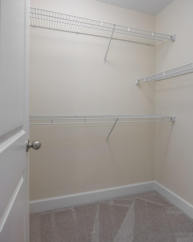8222 Lenox Creekside Dr, Antioch, TN 37013 - photo 21