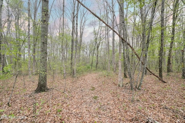 547 Clear Creek Ln, Monterey, TN 38574 - view of nature with a forest view