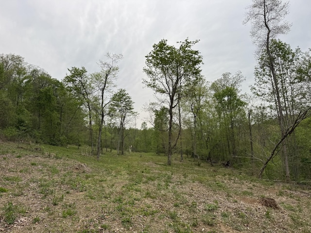 1323 Rock Bridge Rd, Bethpage, TN 37022
