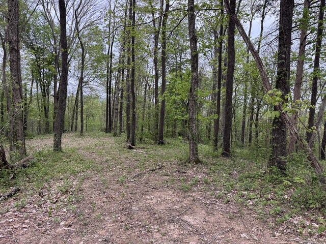 1323 Rock Bridge Rd, Bethpage, TN 37022
