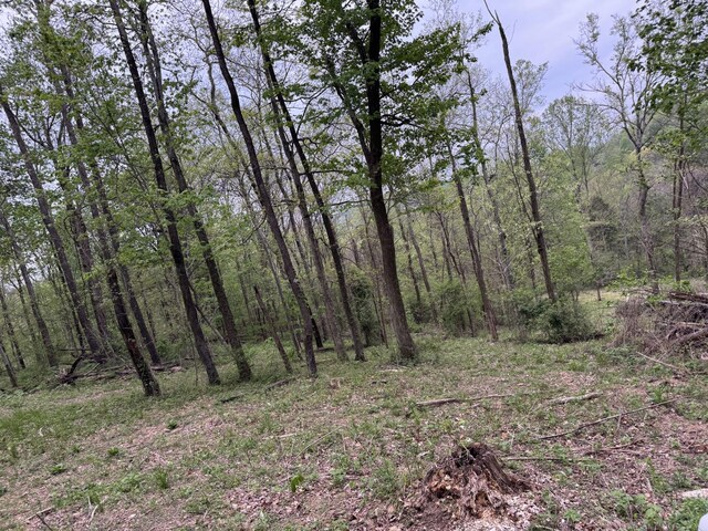 1323 Rock Bridge Rd, Bethpage, TN 37022