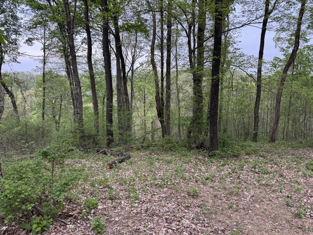 1323 Rock Bridge Rd, Bethpage, TN 37022