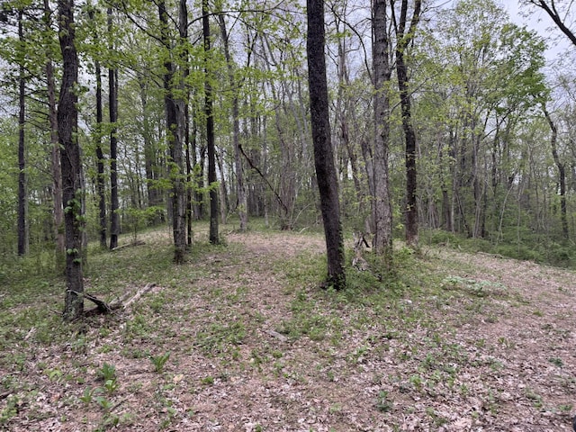 1323 Rock Bridge Rd, Bethpage, TN 37022