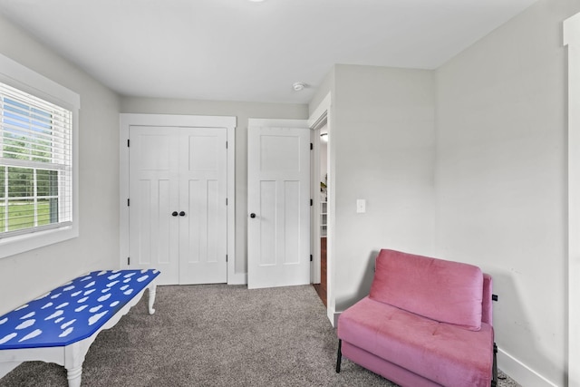 sitting room with baseboards and carpet