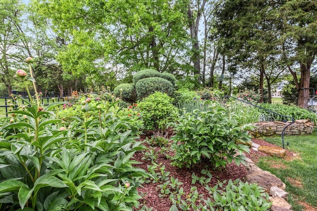 2931 Longford Dr, Murfreesboro, TN 37129 - view of yard featuring fence