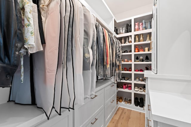 2931 Longford Dr, Murfreesboro, TN 37129 - walk in closet featuring light wood-style floors