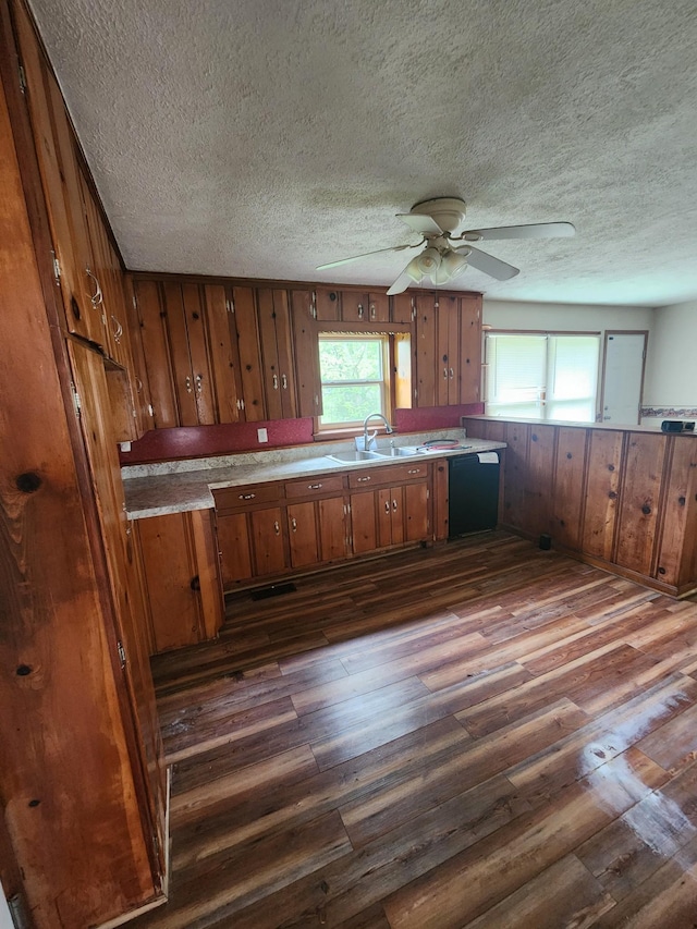kitchen featuring brown cabinets, dark wood-style floors, dishwashing machine, a textured ceiling, and ceiling fan