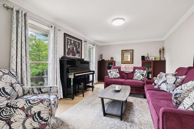 living room with ornamental molding and wood finished floors