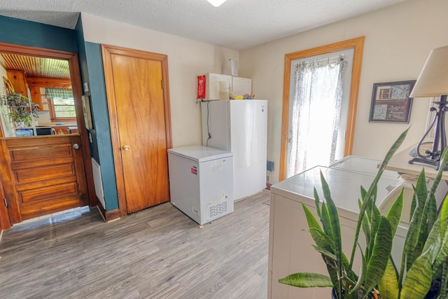washroom featuring washer / dryer, light wood-style flooring, laundry area, and a healthy amount of sunlight